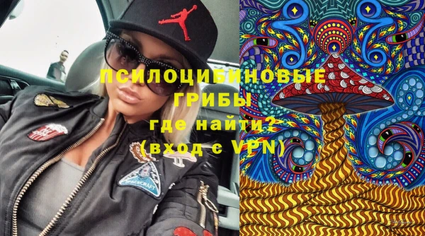 прущие крисы Корсаков