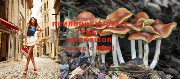 прущие крисы Корсаков