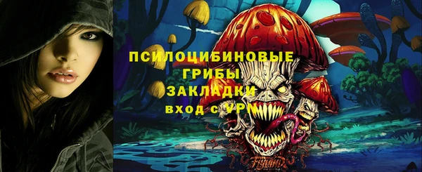 мяу мяу мука Коряжма