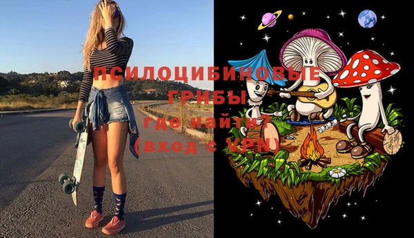 мяу мяу мука Коряжма